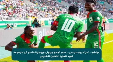 مباشر.. تحرك جيوسياسي.. مصر تجمع جيبوتي وبوركينا فاسو في مجموعة قوية لتعزيز التعاون الإقليمي